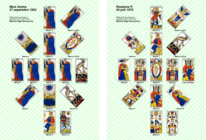 images/image5.png